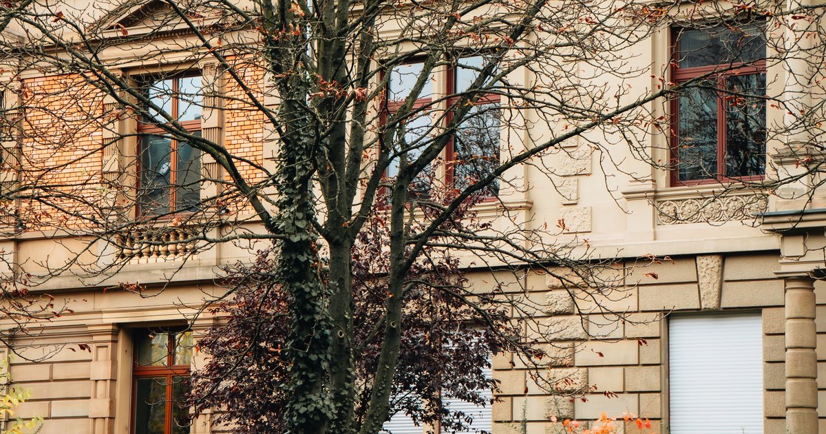 Wohnung Frankfurt mieten: Stadtteile im Vergleich