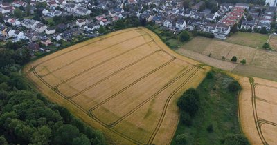 Wohnung in Bochum mieten: Preise und Bezirke