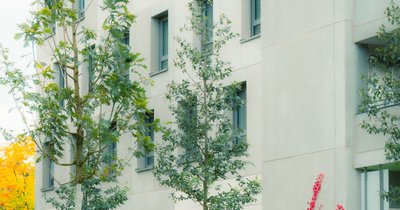 Freiburg Wohnung mieten